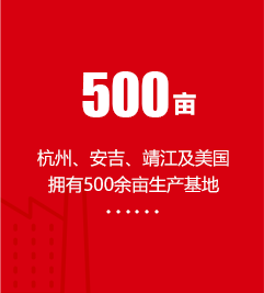 加载出错